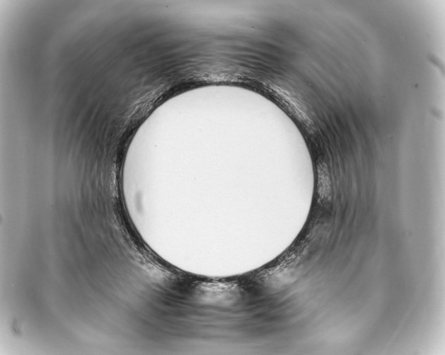 X0000094970453200712271746