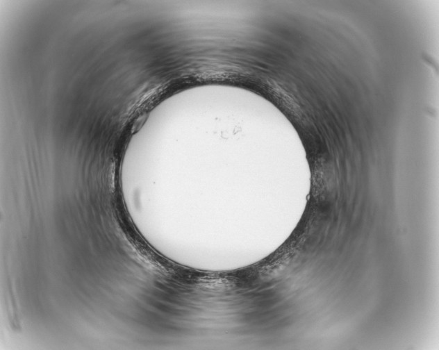 X0000094970454200712271746