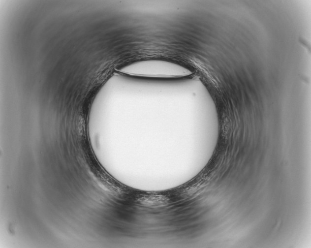 X0000094970459200712271746
