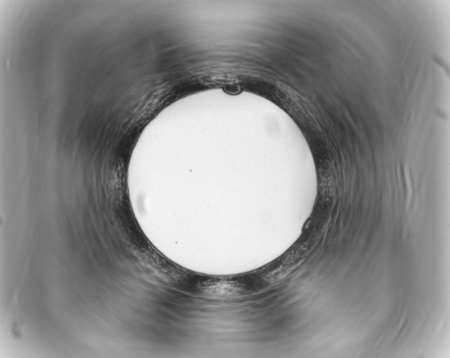 X0000094970460200712271746