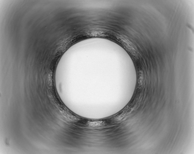 X0000094970461200712271746