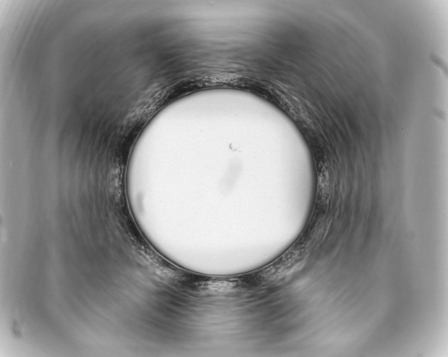 X0000094970462200712271746