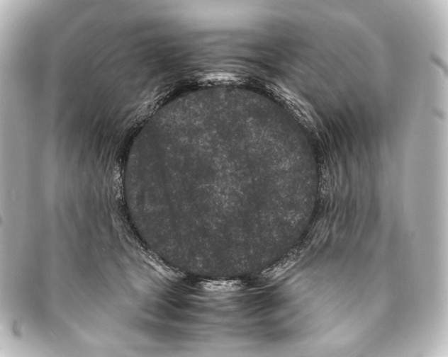X0000094970465200712271746