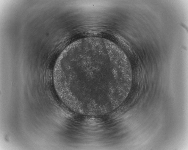 X0000094970467200712271746
