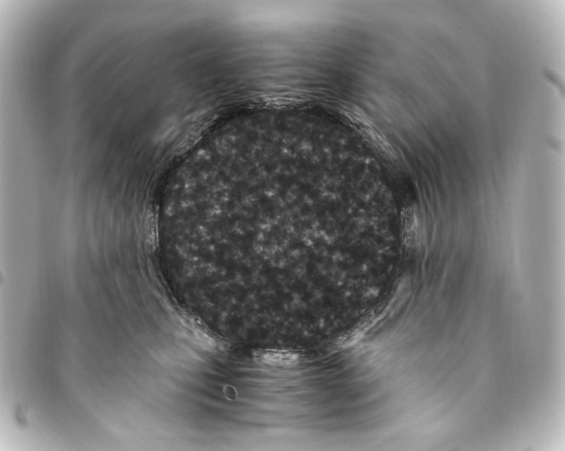 X0000094970471200712271746