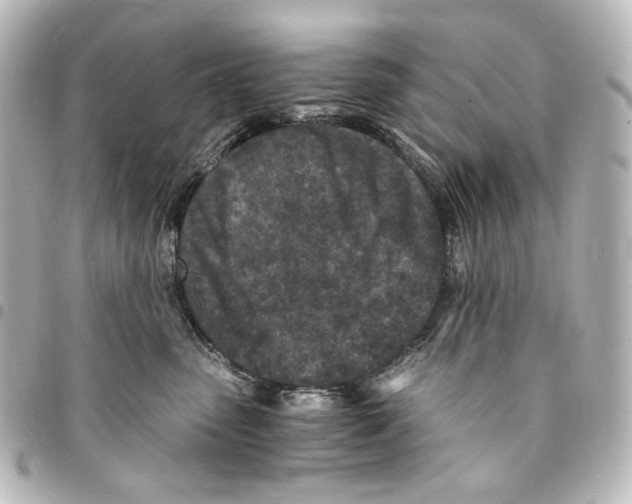 X0000094970475200712271746