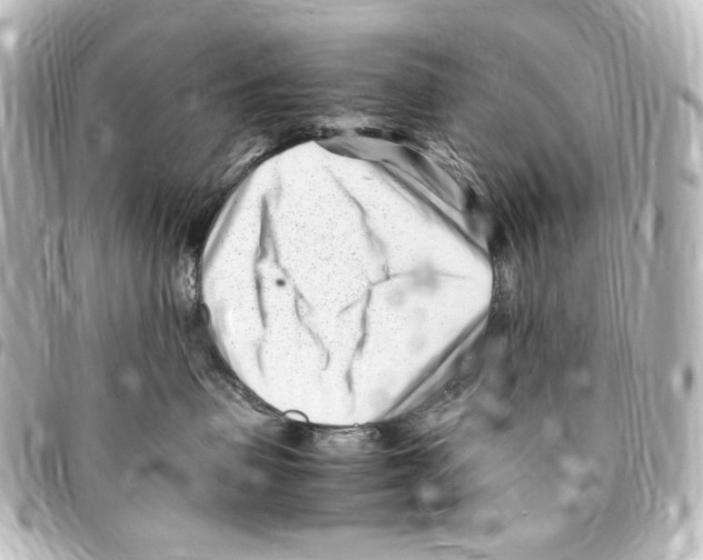 X0000094970479200712271747
