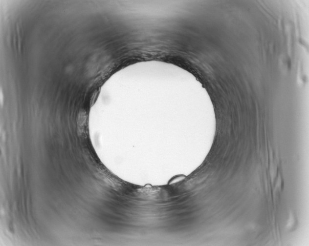 X0000094970480200712271747