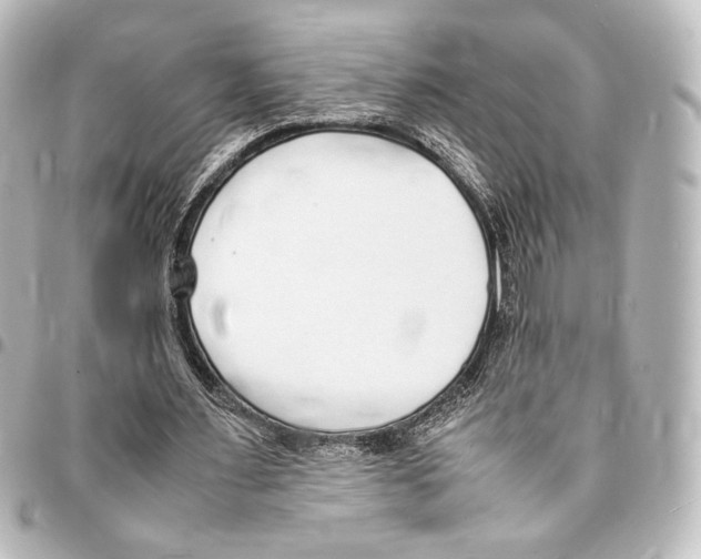 X0000094970483200712271746