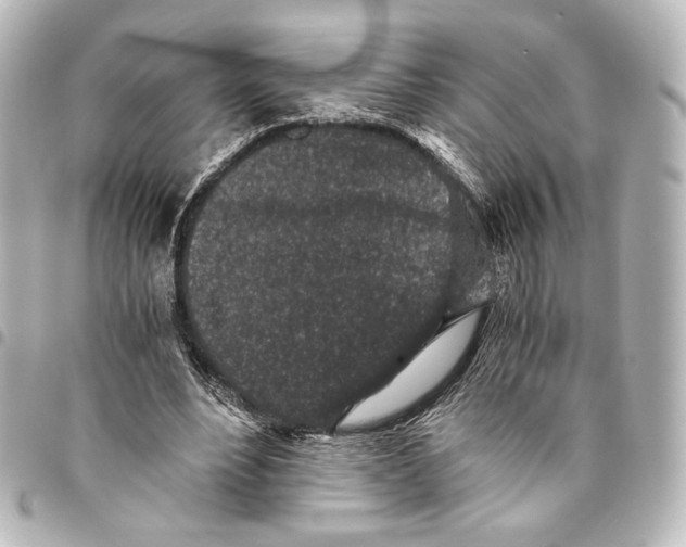 X0000094970488200712271746