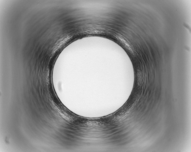 X0000094970490200712271746