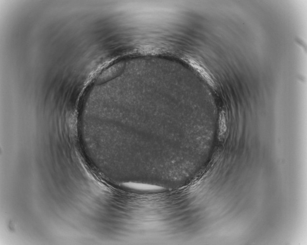 X0000094970492200712271746