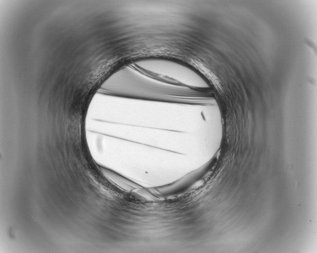 X0000094970493200712271746