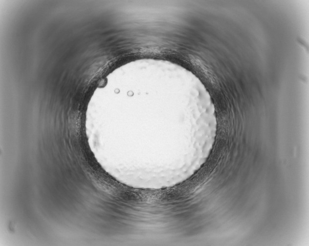 X0000094970495200712271746