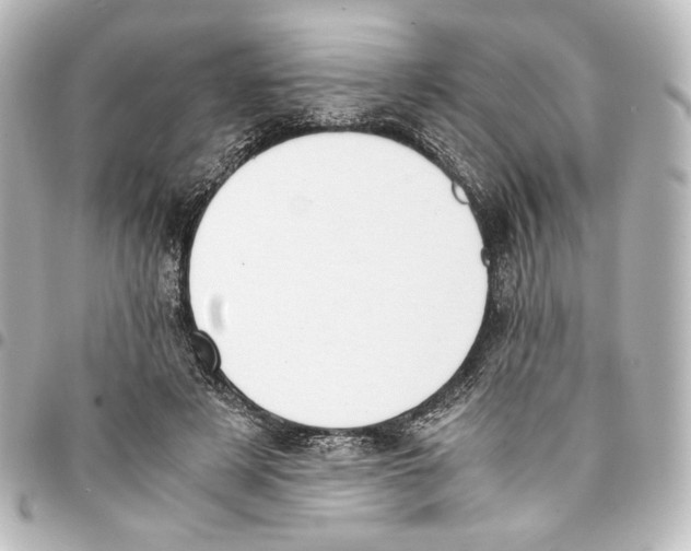 X0000094970497200712271746