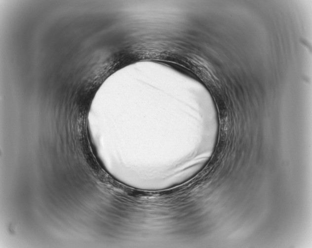X0000094970503200712271746
