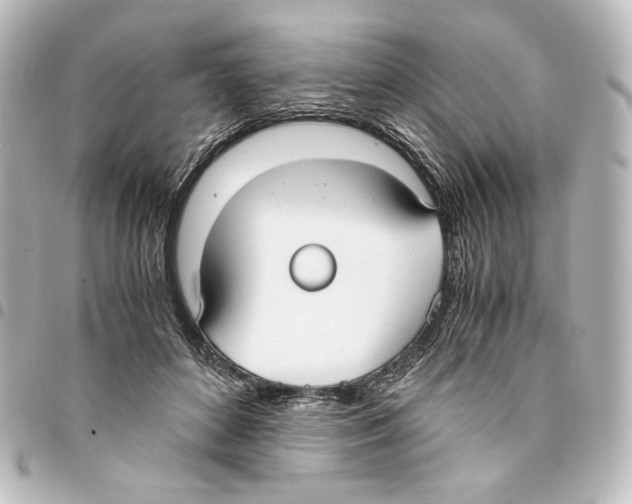 X0000094970504200712271746