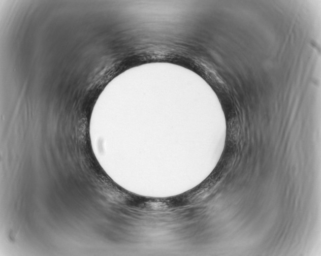 X0000094970509200712271746