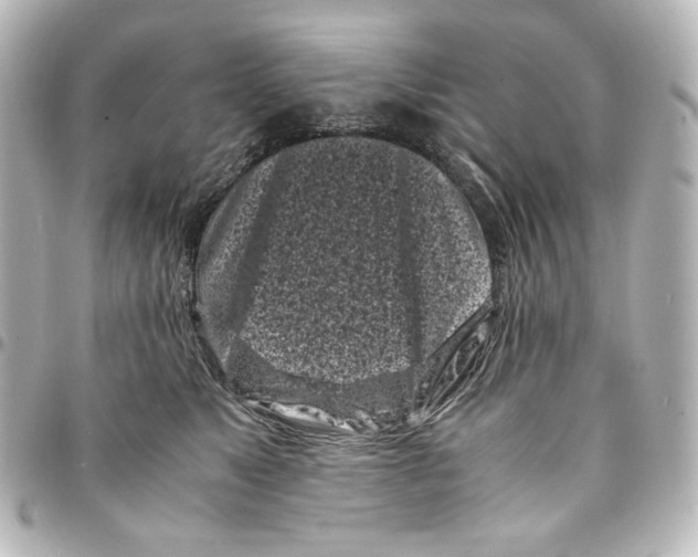 X0000094970517200712271745