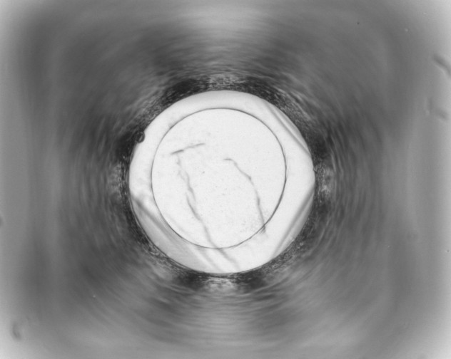 X0000094970519200712271745