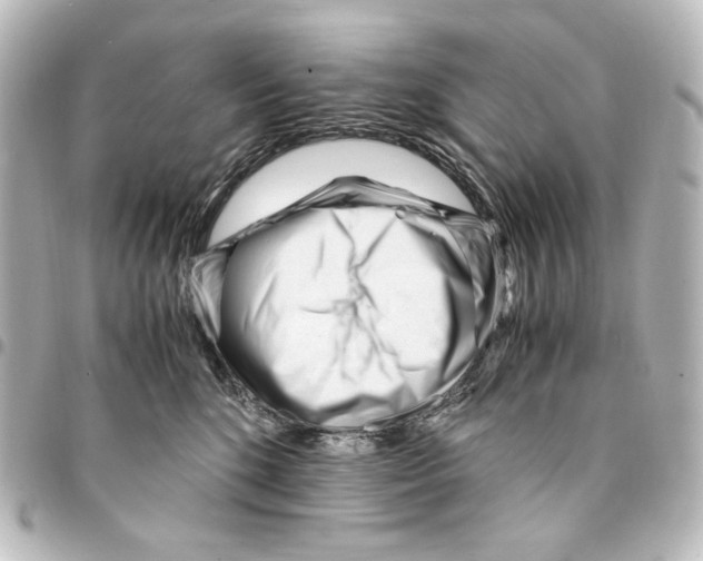 X0000094970520200712271745