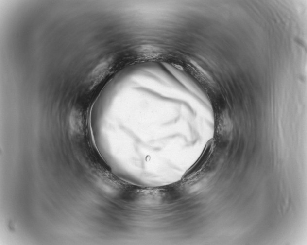 X0000094970524200712271745