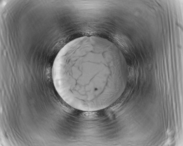 X0000094970526200712271745