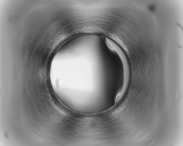 X0000094970530200712271745