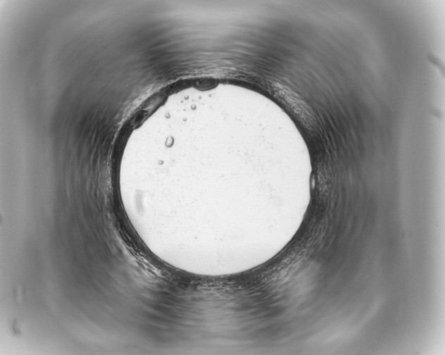 X0000094970532200712271745