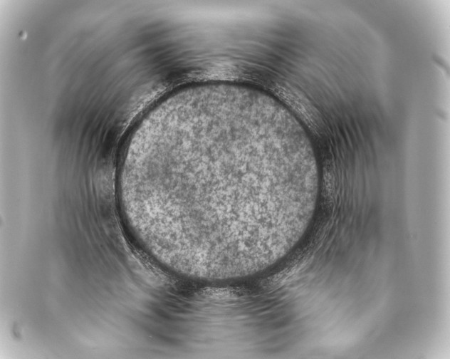 X0000094970534200712271745