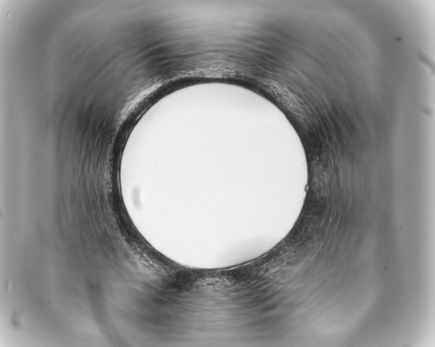 X0000094970536200712271745