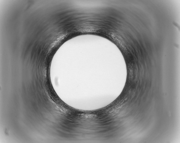 X0000094970539200712271745