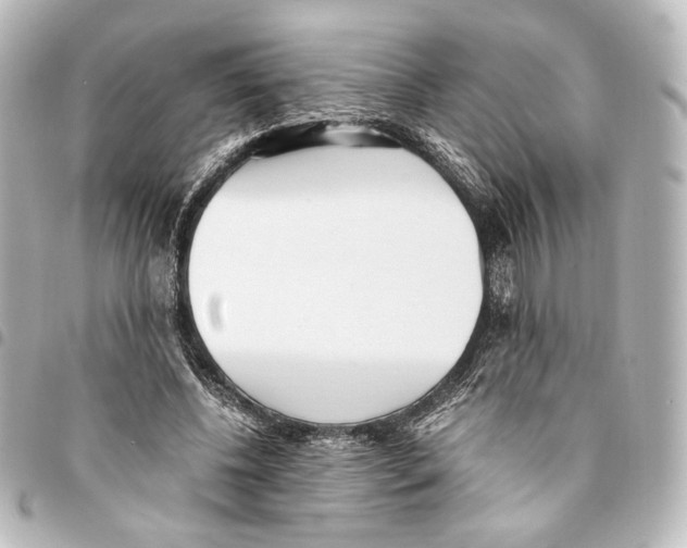 X0000094970540200712271745