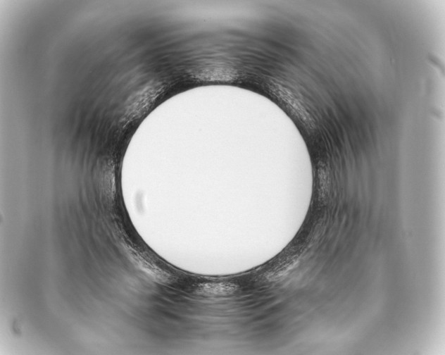 X0000094970541200712271745