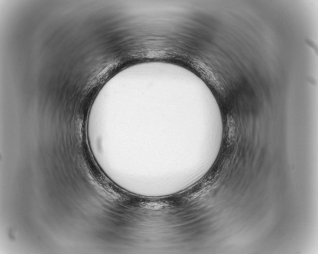 X0000094970542200712271745