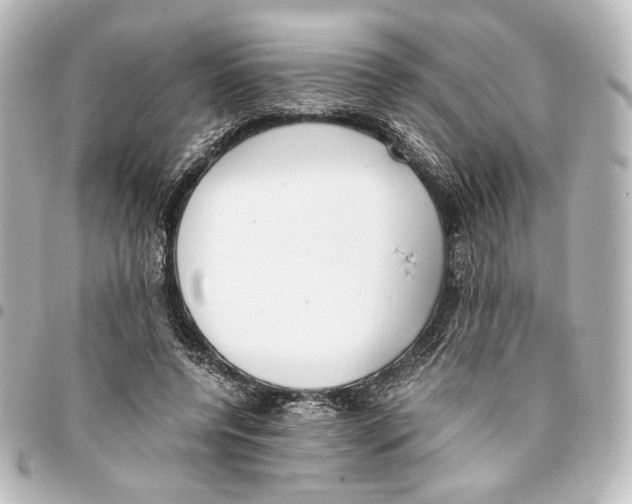 X0000094970544200712271745