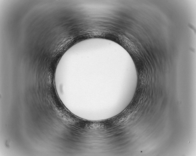 X0000094970546200712271745