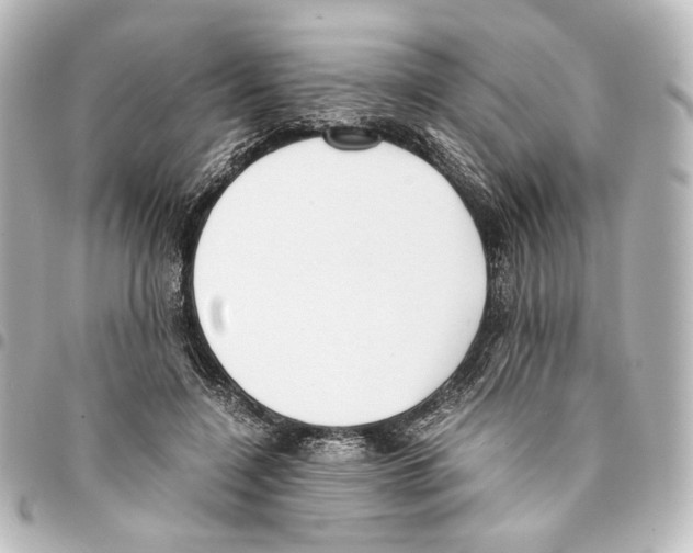 X0000094970548200712271745