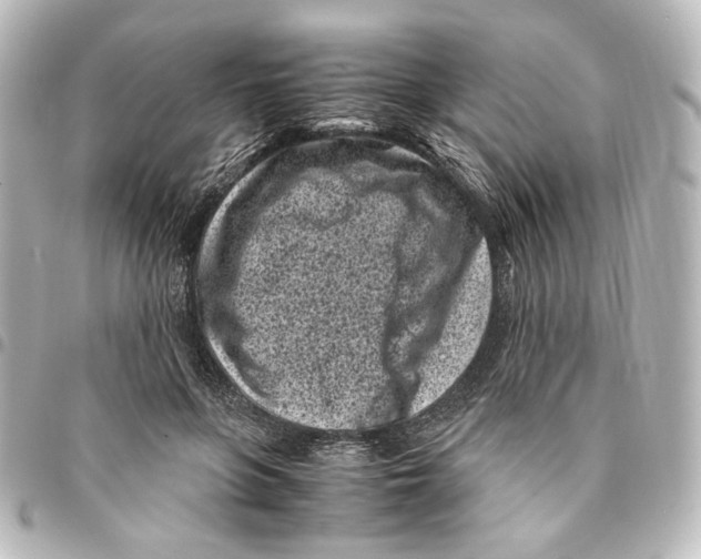 X0000094970551200712271745
