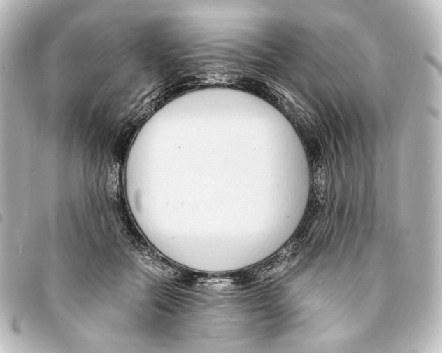X0000094970554200712271745