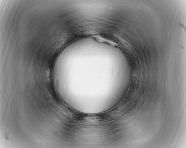 X0000094970556200712271745