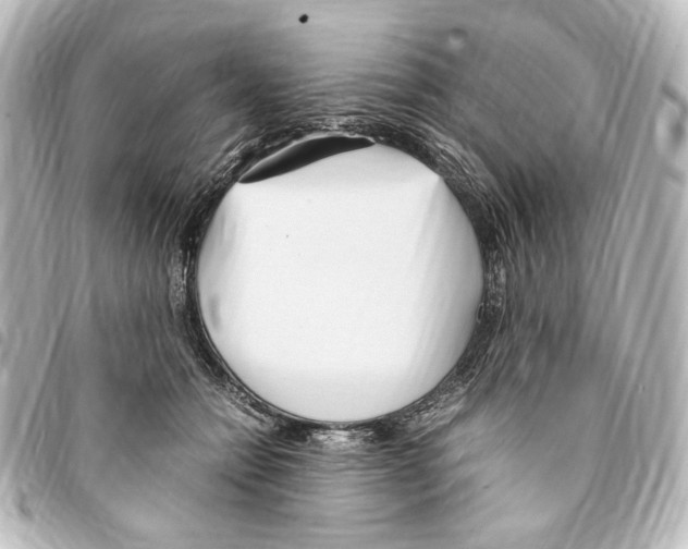 X0000094970558200712271745
