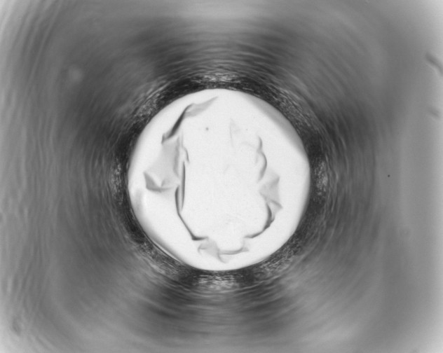 X0000094970559200712271745
