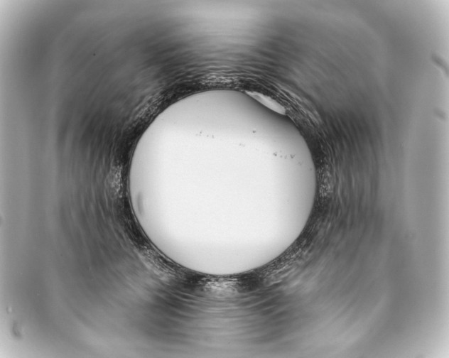 X0000094970560200712271745