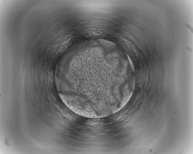 X0000094970563200712271745