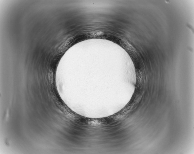 X0000094970565200712271745