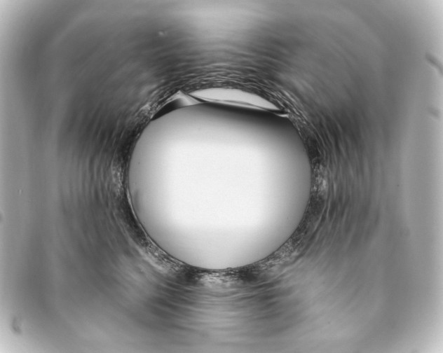 X0000094970568200712271745
