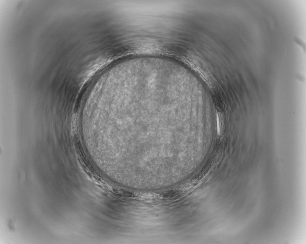 X0000094970579200712271745