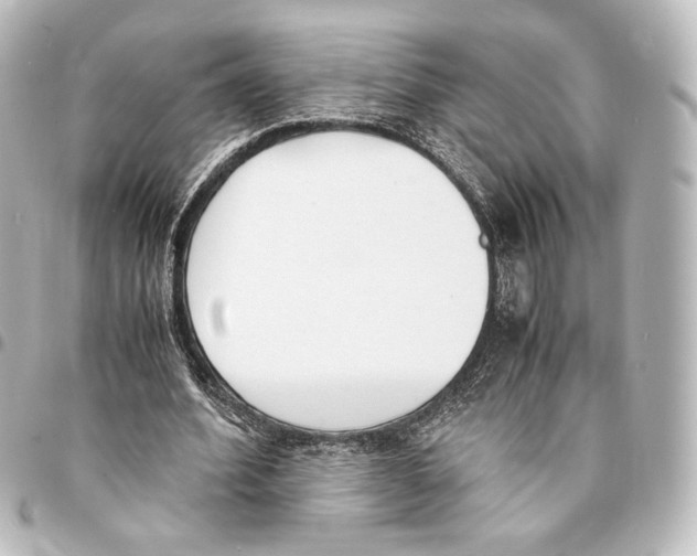 X0000094970580200712271745