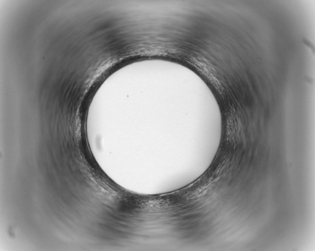X0000094970584200712271744
